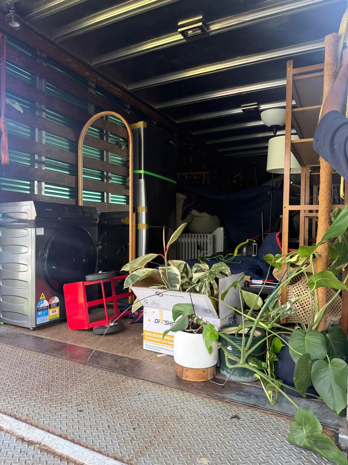 Indoor plants and appliances loaded side by side